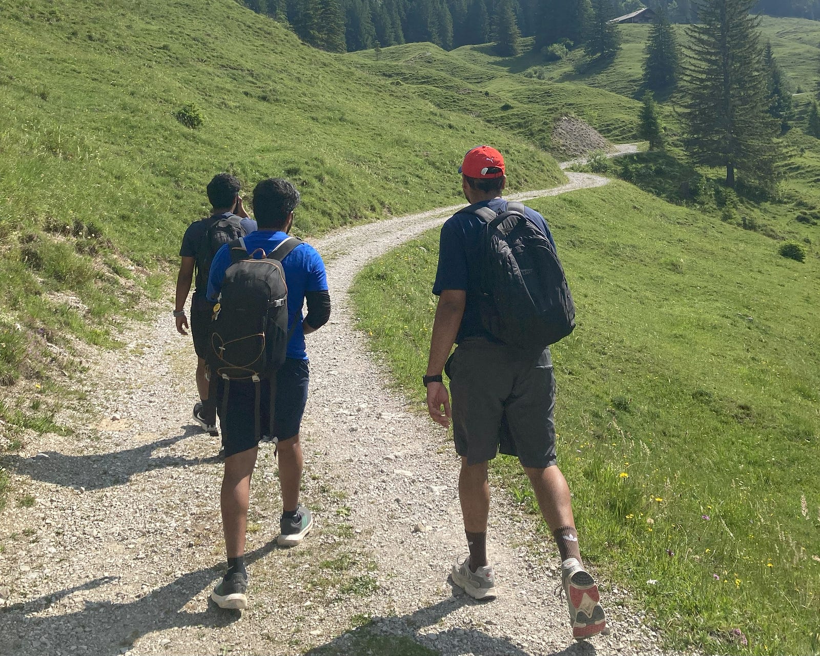 A curvy path at the start of the red route