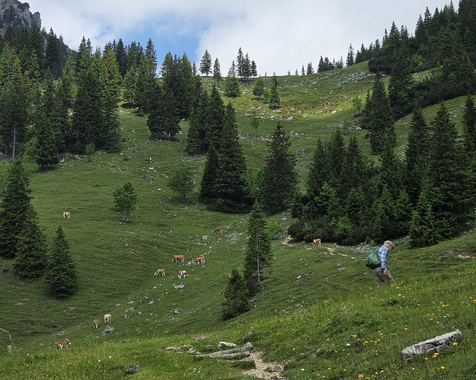 A fellow hiker on the trail with mountain scenery